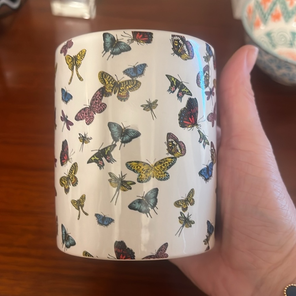 Butterfly Jar - Picture 3 of 5
